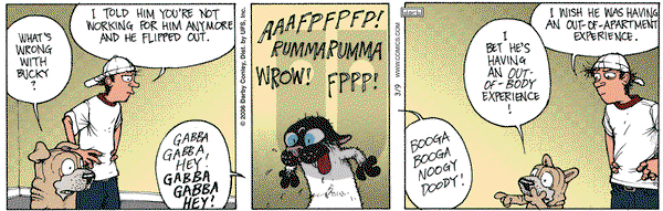 Get Fuzzy on Thursday March 9, 2006 Comic Strip