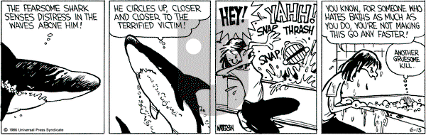 Calvin and Hobbes on Friday June 13, 1986 Comic Strip
