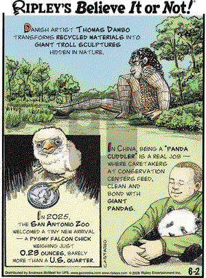 Ripley's Believe It or Not on Monday June 2, 2025 Comic Strip