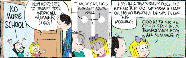 Adam@Home - Wednesday June 18, 2008 Comic Strip