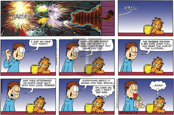 Garfield on Sunday July 5, 2009 Comic Strip