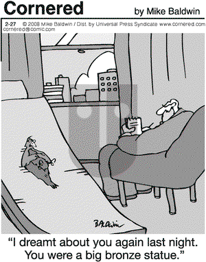 Cornered on Wednesday February 27, 2008 Comic Strip