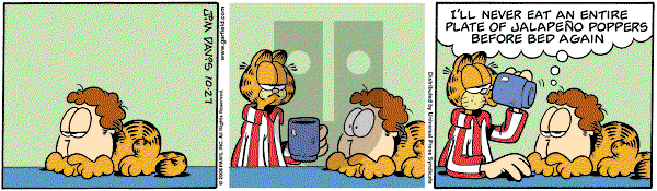 Garfield on Monday October 27, 2008 Comic Strip