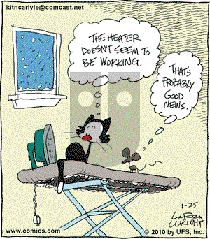 Kit 'N' Carlyle on Monday January 25, 2010 Comic Strip