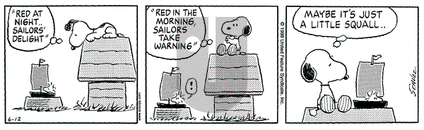 Peanuts on Friday June 12, 1998 Comic Strip