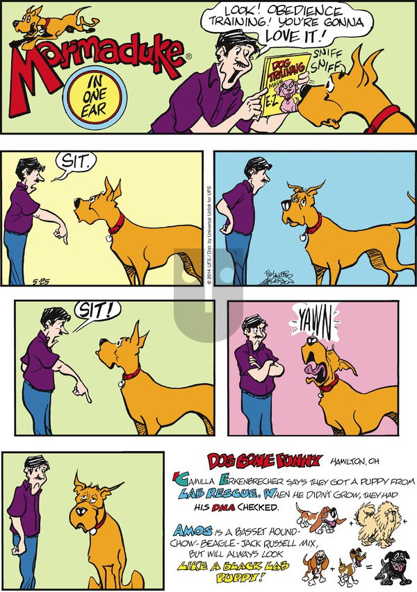 Marmaduke on Sunday May 25, 2014 Comic Strip