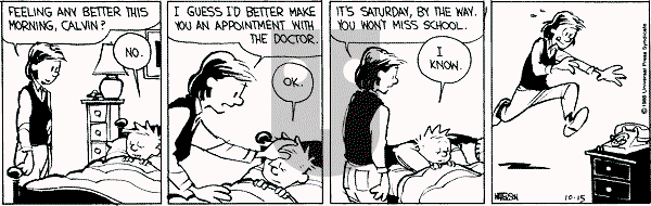 Calvin and Hobbes - Saturday October 15, 1988 Comic Strip
