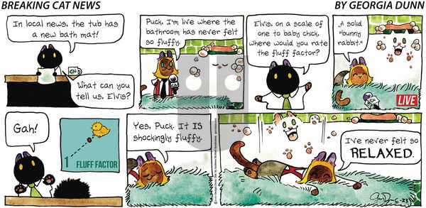 Breaking Cat News on Sunday June 23, 2019 Comic Strip