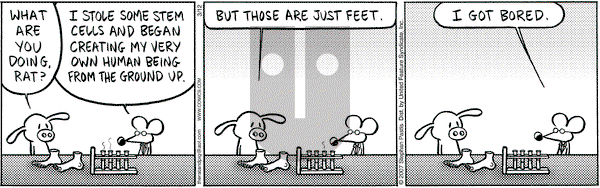 Pearls Before Swine on Monday March 12, 2007 Comic Strip