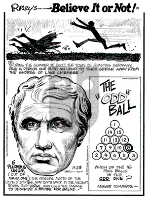 Ripley's Believe It or Not on Friday November 23, 2007 Comic Strip