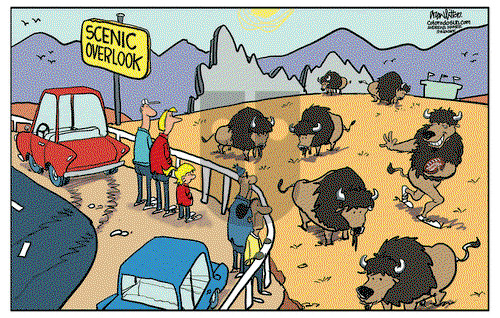 Win, Lose, Drew on Tuesday December 17, 2024 Comic Strip
