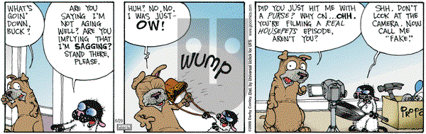 Get Fuzzy on Wednesday June 29, 2011 Comic Strip