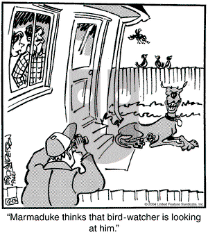 Marmaduke on Monday December 13, 2004 Comic Strip