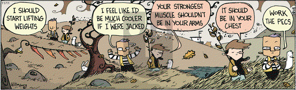 Wallace the Brave on Wednesday November 11, 2020 Comic Strip