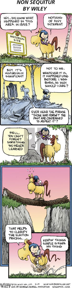 Non Sequitur - Sunday May 19, 2024 Comic Strip