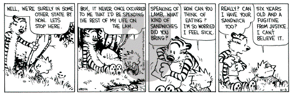 Calvin and Hobbes on Saturday June 3, 1989 Comic Strip