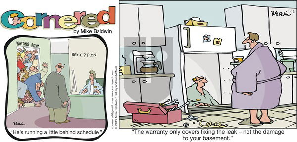 Cornered on Sunday January 13, 2019 Comic Strip