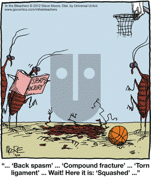 In the Bleachers - Friday February 10, 2012 Comic Strip