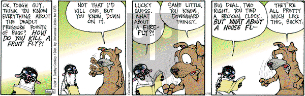 Get Fuzzy on Wednesday January 16, 2013 Comic Strip
