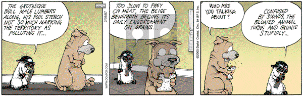 Get Fuzzy on Wednesday February 28, 2007 Comic Strip