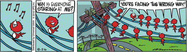 Rose is Rose on Friday August 26, 2016 Comic Strip