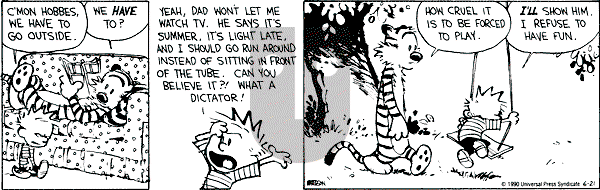 Calvin and Hobbes - Thursday June 21, 1990 Comic Strip
