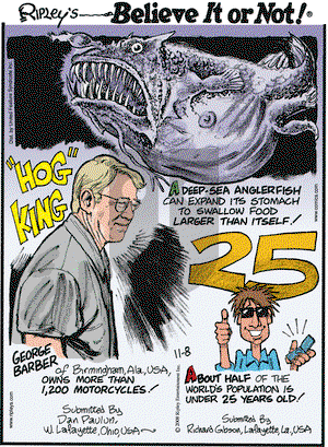 Ripley's Believe It or Not on Saturday November 8, 2008 Comic Strip