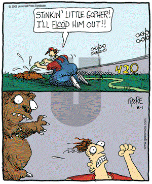 In the Bleachers on Saturday August 1, 2009 Comic Strip