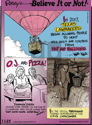Ripley's Believe It or Not on Friday November 23, 2018 Comic Strip