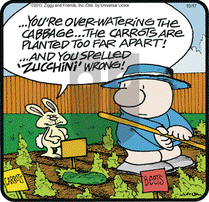 Ziggy on Saturday October 17, 2015 Comic Strip