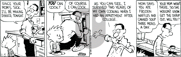 Calvin and Hobbes - Wednesday November 5, 1986 Comic Strip
