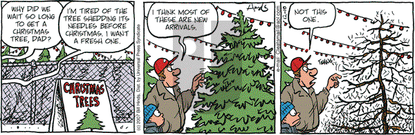 Cleats on Tuesday November 18, 2025 Comic Strip