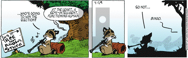 Over the Hedge on Wednesday July 29, 2020 Comic Strip
