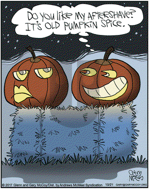 The Flying McCoys on Saturday October 21, 2017 Comic Strip