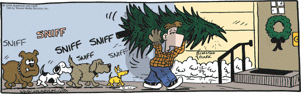 Lola on Monday December 20, 2004 Comic Strip