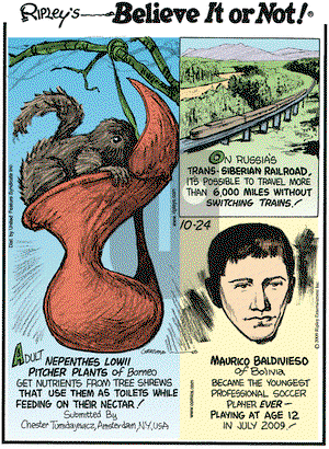 Ripley's Believe It or Not on Saturday October 24, 2009 Comic Strip