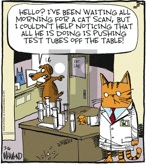 Reality Check on Thursday July 16, 2020 Comic Strip
