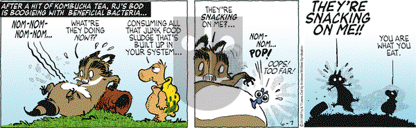 Over the Hedge on Thursday June 7, 2018 Comic Strip