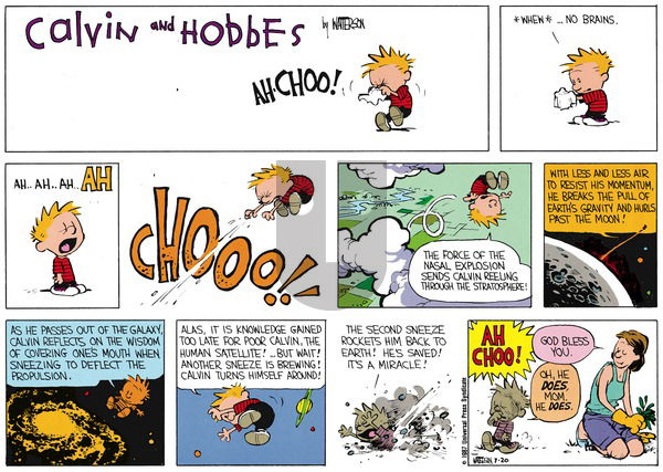Calvin and Hobbes on Sunday August 23, 1987 Comic Strip