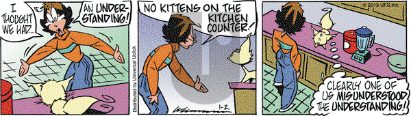 Rose is Rose on Wednesday January 2, 2013 Comic Strip