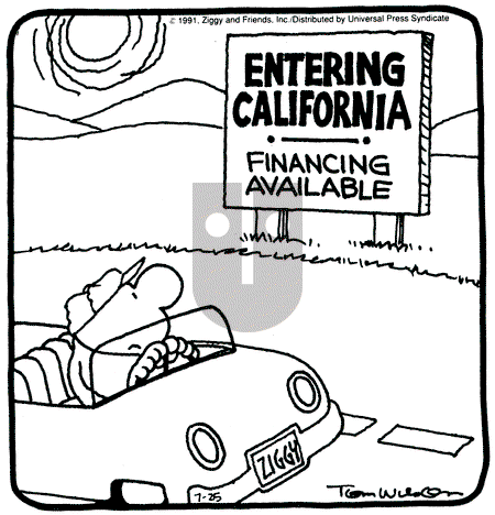 Ziggy - Thursday July 25, 1991 Comic Strip