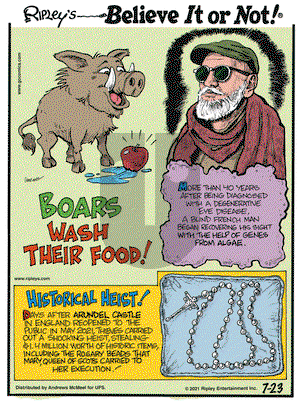 Ripley's Believe It or Not on Friday July 23, 2021 Comic Strip