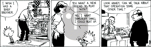Calvin and Hobbes - Wednesday October 7, 1992 Comic Strip