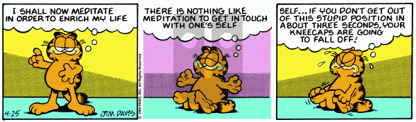 Garfield on Friday April 25, 1986 Comic Strip
