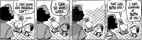 Rose is Rose on Friday May 31, 1996 Comic Strip