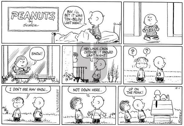 Peanuts on Sunday December 1, 1963 Comic Strip