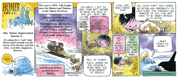 Non Sequitur on Sunday June 16, 1996 Comic Strip