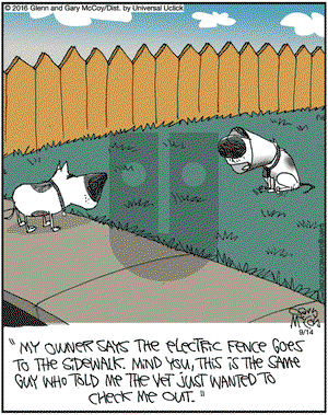 The Flying McCoys on Wednesday September 14, 2016 Comic Strip