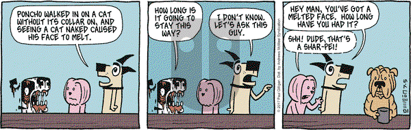 Pooch Cafe on Wednesday July 5, 2017 Comic Strip