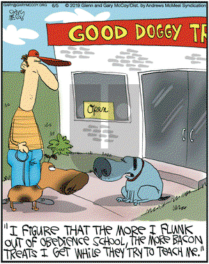 The Flying McCoys on Wednesday June 5, 2019 Comic Strip